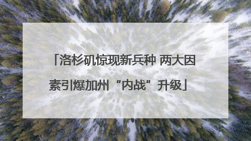 洛杉矶惊现新兵种 两大因素引爆加州“内战”升级