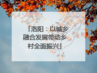 洛阳：以城乡融合发展带动乡村全面振兴