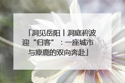洞见岳阳丨洞庭碧波迎“归客”：一座城市与麋鹿的双向奔赴