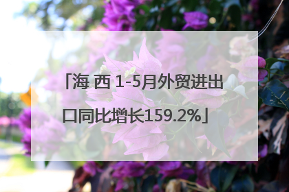 海 西 1-5月外贸进出口同比增长159.2%