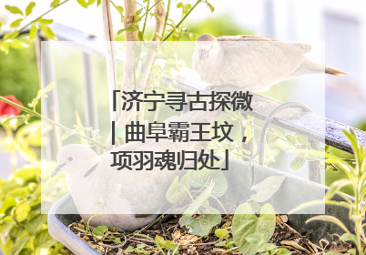 济宁寻古探微｜曲阜霸王坟，项羽魂归处