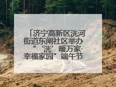 济宁高新区洸河街道东闸社区举办“‘洸’暖万家·幸福家园”端午节幸福集市活动