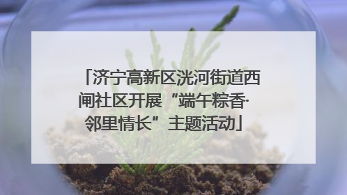济宁高新区洸河街道西闸社区开展“端午粽香·邻里情长”主题活动