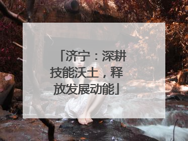 济宁：深耕技能沃土，释放发展动能