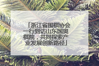 浙江省围棋协会一行到访山东国奥棋院，共同探索产业发展创新路径