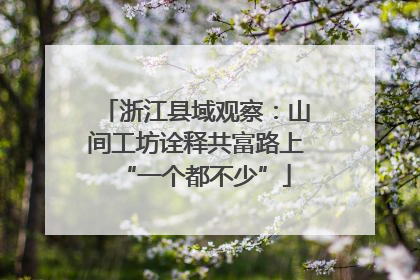 浙江县域观察：山间工坊诠释共富路上“一个都不少”