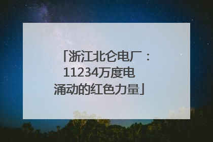 浙江北仑电厂：11234万度电涌动的红色力量