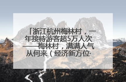 浙江杭州梅林村，一年接待游客超5万人次——梅林村，满满人气从何来（经济新方位·农村消费观察）