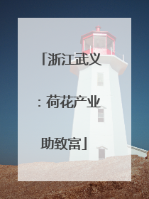 浙江武义:荷花产业助致富