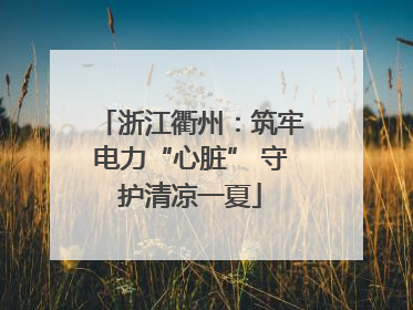 浙江衢州：筑牢电力“心脏” 守护清凉一夏