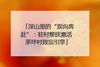深山里的“双向奔赴”：驻村帮扶激活茅坪村致富引擎