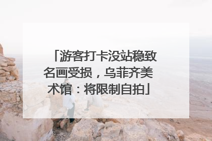 游客打卡没站稳致名画受损，乌菲齐美术馆：将限制自拍