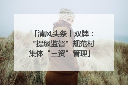 清风头条丨双牌：“提级监督”规范村集体“三资”管理