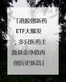 港股创新药ETF大爆发，多只医药主题基金净值再创历史新高