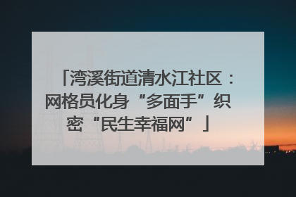 湾溪街道清水江社区：网格员化身“多面手”织密“民生幸福网”