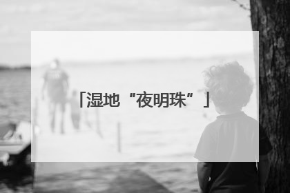 湿地“夜明珠”