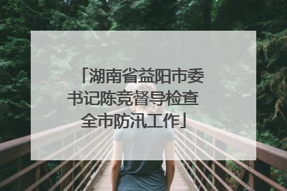湖南省益阳市委书记陈竞督导检查全市防汛工作