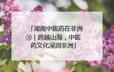 湖南中医药在非洲③｜跨越山海，中医药文化浸润非洲