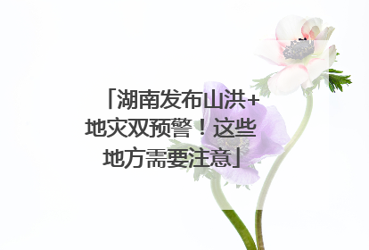 湖南发布山洪+地灾双预警！这些地方需要注意