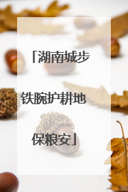 湖南城步铁腕护耕地保粮安