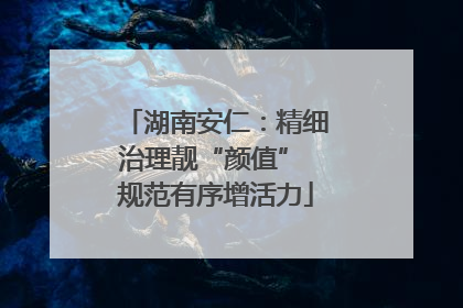 湖南安仁：精细治理靓“颜值” 规范有序增活力