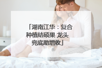 湖南江华：复合种植结硕果 龙头兜底助增收