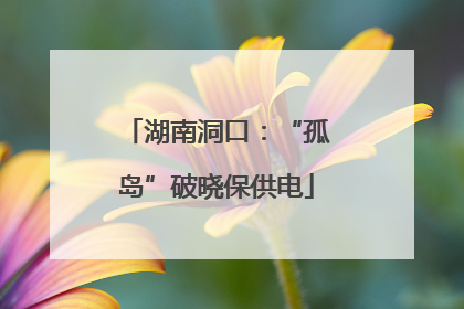 湖南洞口：“孤岛”破晓保供电