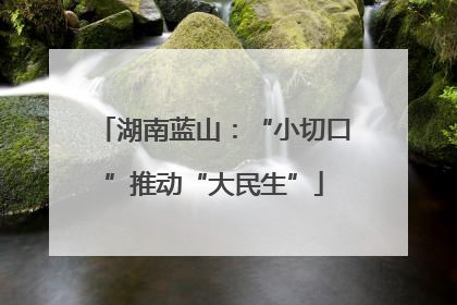 湖南蓝山：“小切口”推动“大民生”