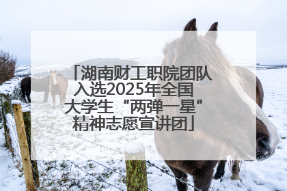 湖南财工职院团队入选2025年全国大学生“两弹一星”精神志愿宣讲团