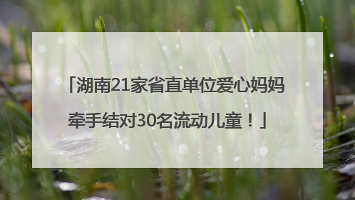 湖南21家省直单位爱心妈妈牵手结对30名流动儿童！