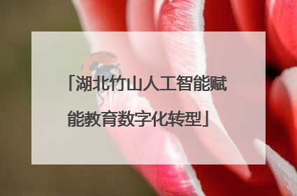 湖北竹山人工智能赋能教育数字化转型