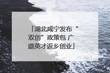 湖北咸宁发布“双创”政策包 广邀英才返乡创业