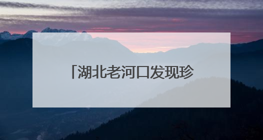 湖北老河口发现珍稀鸟类蓝喉蜂虎