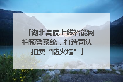 湖北高院上线智能网拍预警系统，打造司法拍卖“防火墙”