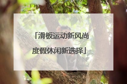 滑板运动新风尚 度假休闲新选择