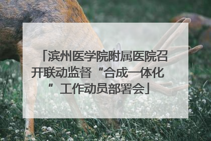 滨州医学院附属医院召开联动监督“合成一体化”工作动员部署会