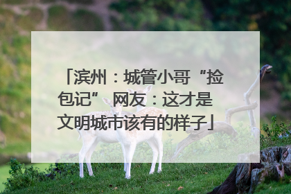 滨州：城管小哥“捡包记” 网友：这才是文明城市该有的样子