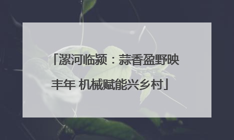 漯河临颍：蒜香盈野映丰年 机械赋能兴乡村
