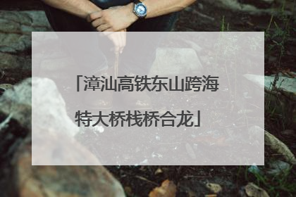 漳汕高铁东山跨海特大桥栈桥合龙