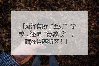 菏泽有所“五好”学校，还是“苏教版”，藏在鲁西新区！