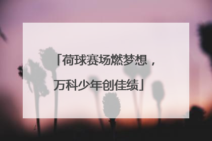 荷球赛场燃梦想，万科少年创佳绩