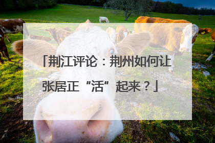 荆江评论：荆州如何让张居正“活”起来？