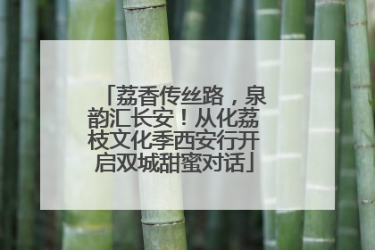 荔香传丝路，泉韵汇长安！从化荔枝文化季西安行开启双城甜蜜对话