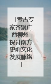 考古专家齐聚广西柳州 探讨南方史前文化发展脉络