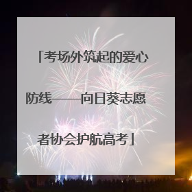 考场外筑起的爱心防线——向日葵志愿者协会护航高考