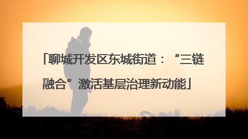 聊城开发区东城街道：“三链融合”激活基层治理新动能