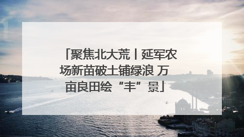 聚焦北大荒丨延军农场新苗破土铺绿浪 万亩良田绘“丰”景
