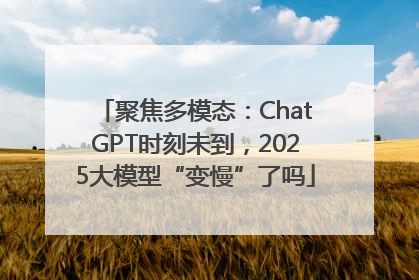 聚焦多模态：ChatGPT时刻未到，2025大模型“变慢”了吗