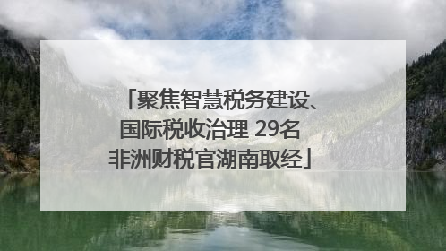 聚焦智慧税务建设、国际税收治理 29名非洲财税官湖南取经