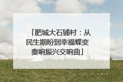 肥城大石铺村：从民生期盼到幸福蝶变奏响振兴交响曲